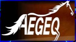 Aegeq com