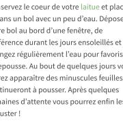 Faire repousser vos légumes 