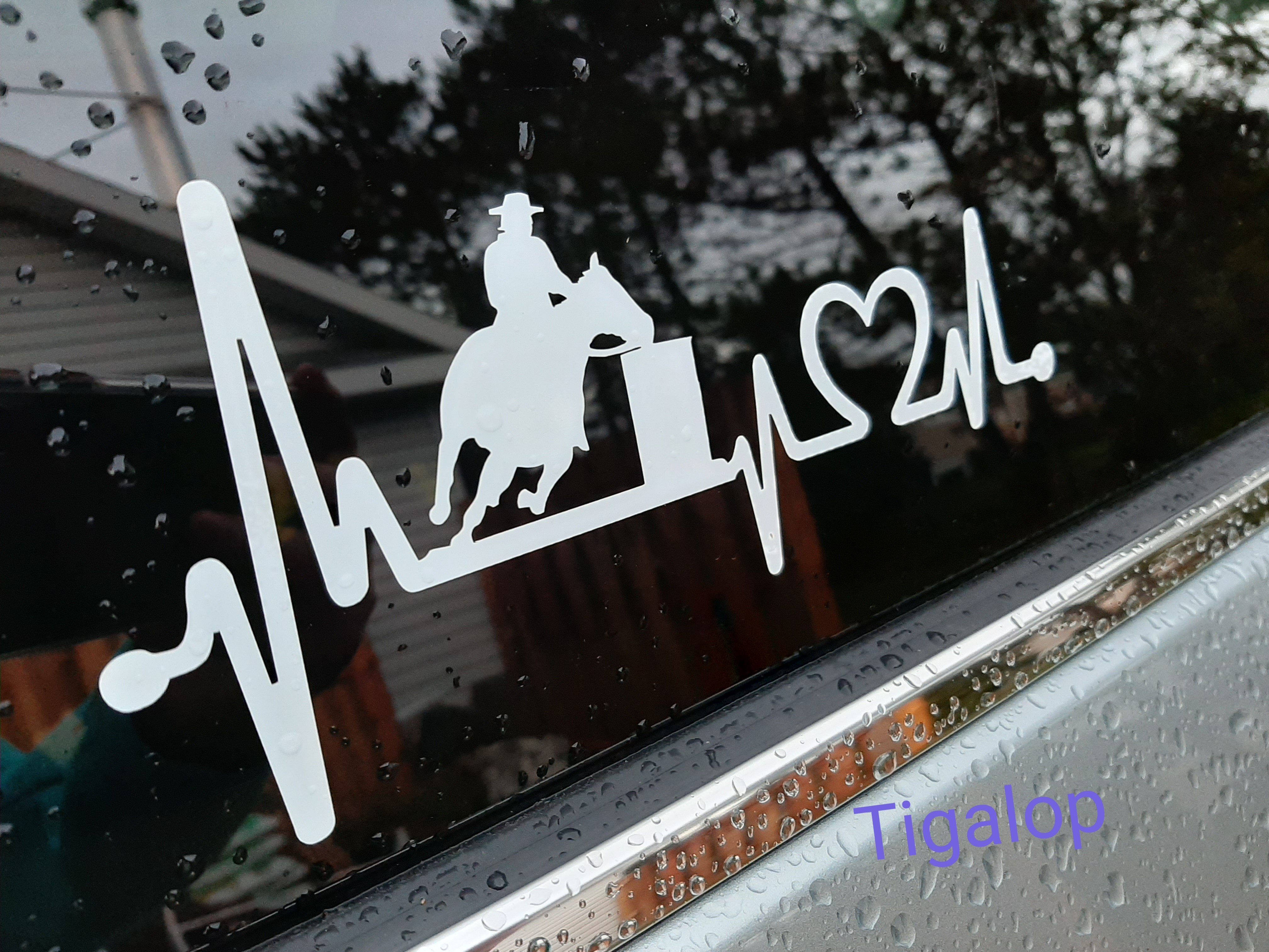Love, horse barrel racing