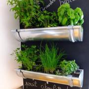 Bacs fines herbes accrochees au mur