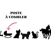 Famille western