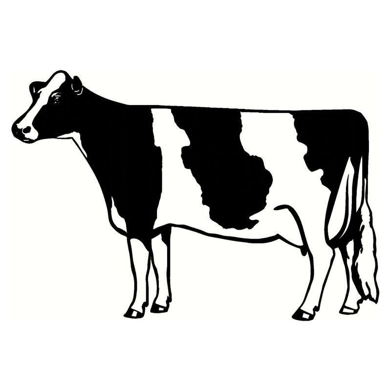 Autocollants vaches