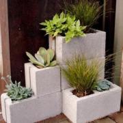 Fines herbes dans des cinder blocks