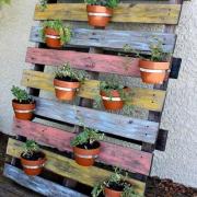 Jardin sur grosse palette en bois coloree