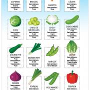 calendrier des semis
