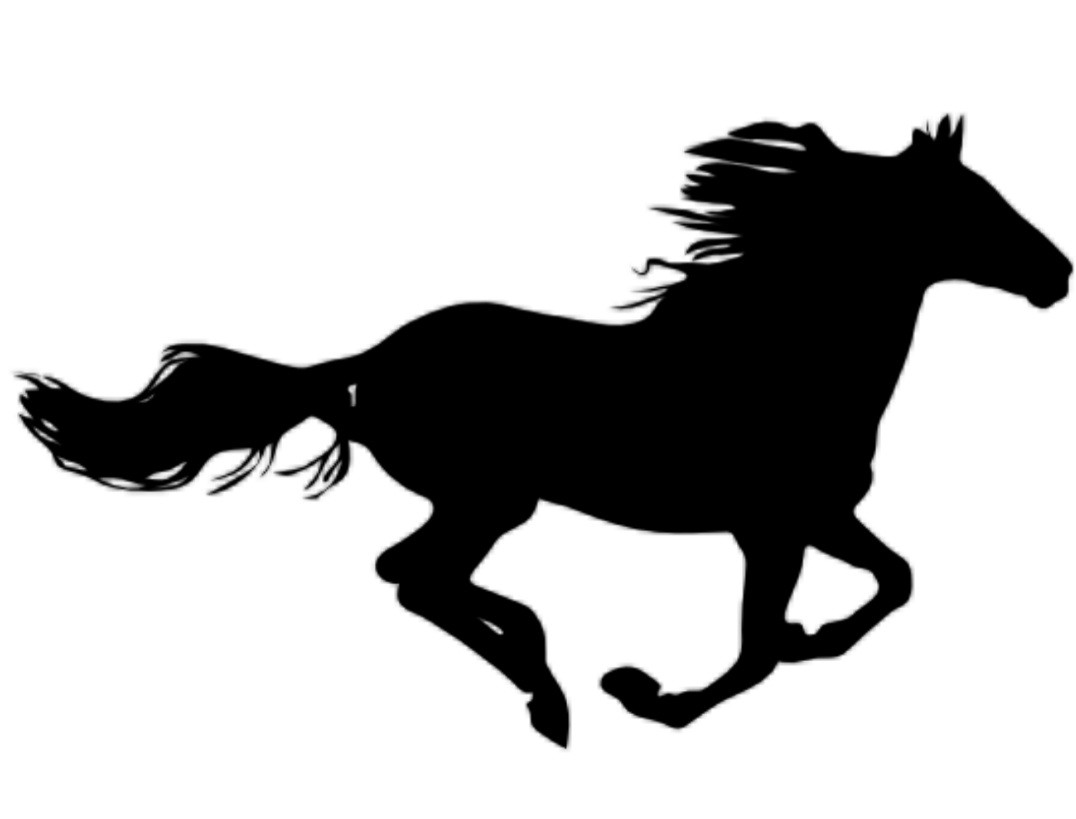 Autocollants chevaux 