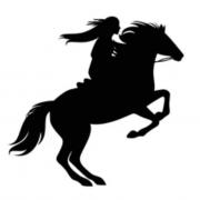 Autocollants cheval