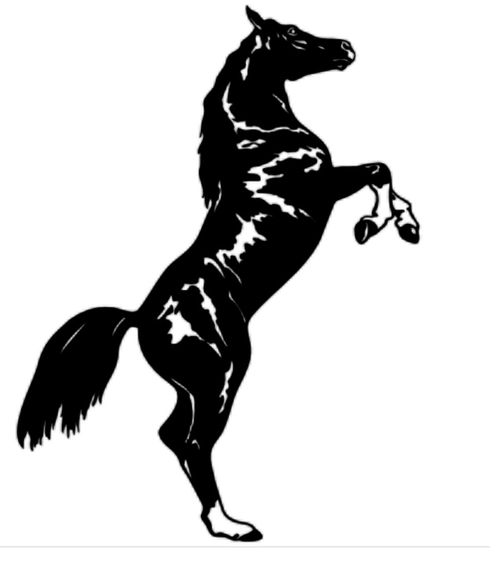 Autocollants chevaux 