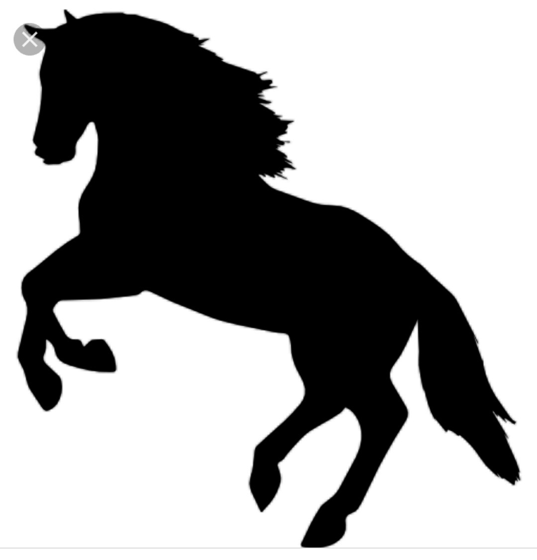 Autocollants chevaux