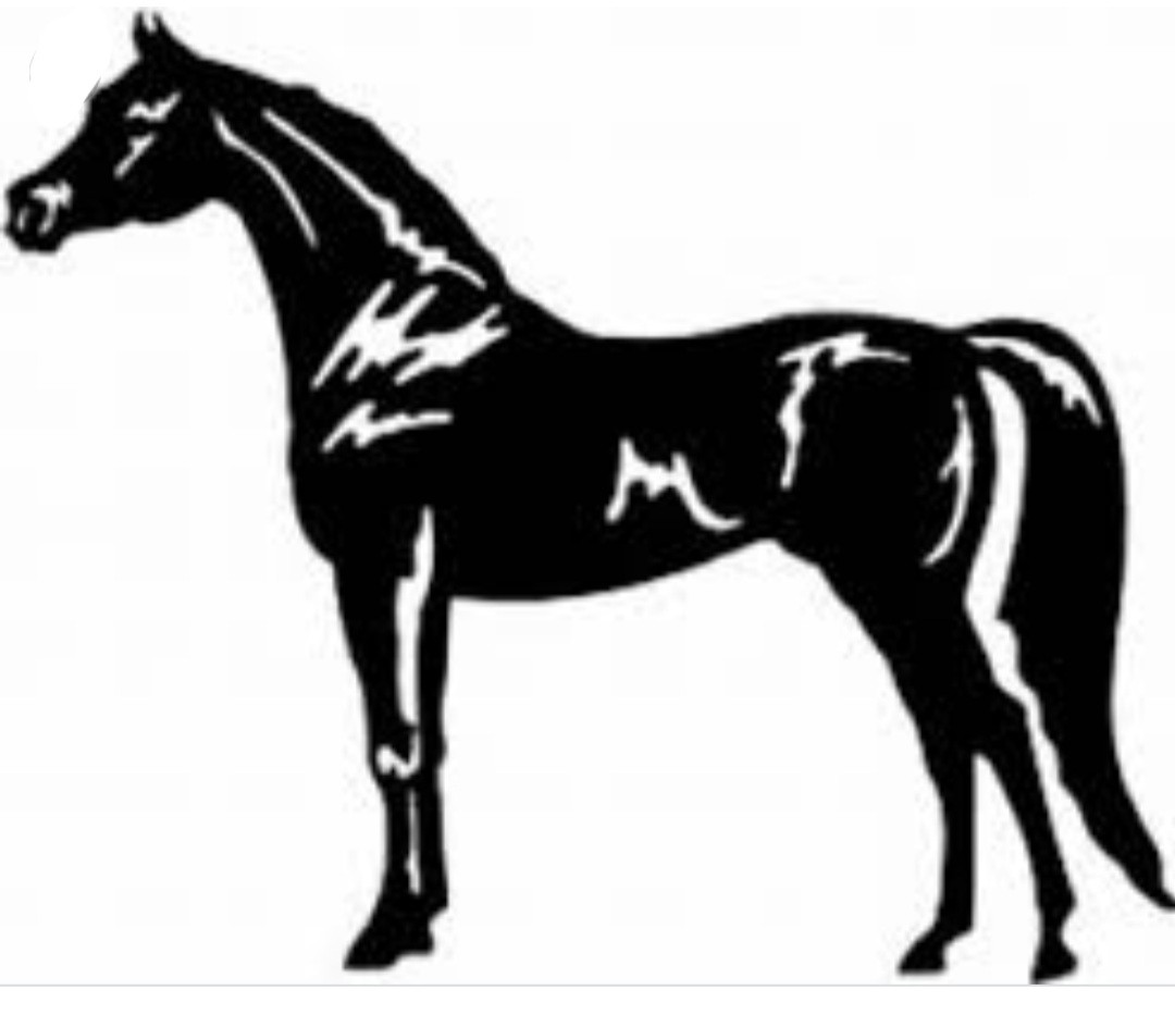 Autocollants chevaux 