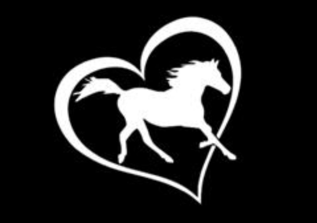 Autocollants chevaux