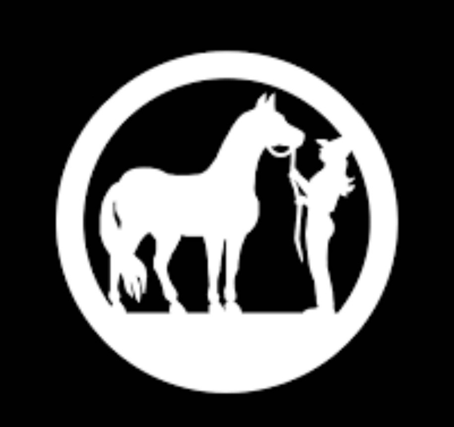 Autocollants love horse