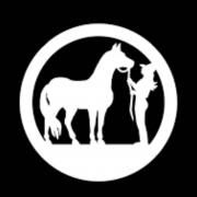 Autocollants love horse