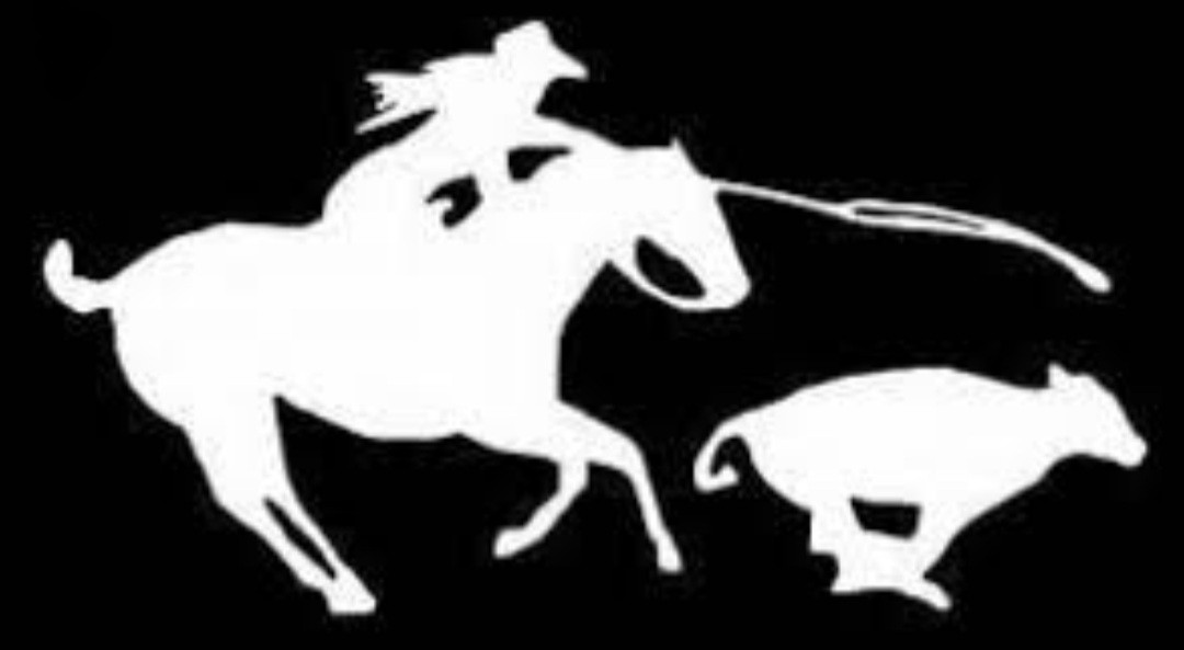 Autocollants chevaux