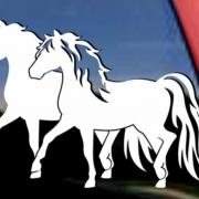 Autocollants chevaux 