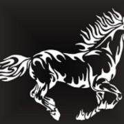 Autocollants chevaux 