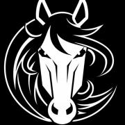 Autocollants chevaux 