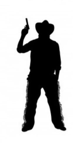 image cowgirl 5