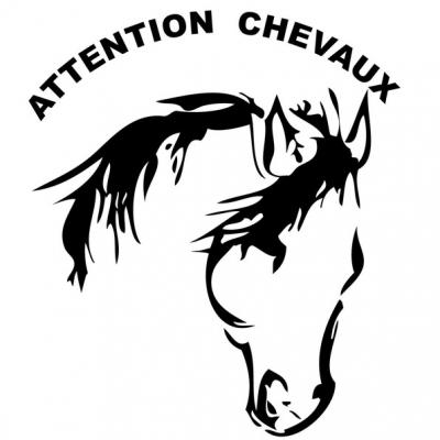 Stickers equitation attention chevaux