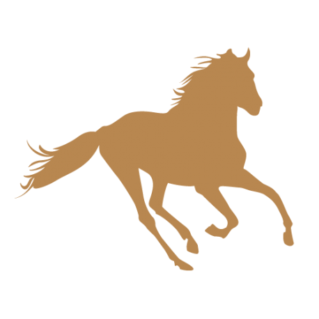 Autocollant cheval