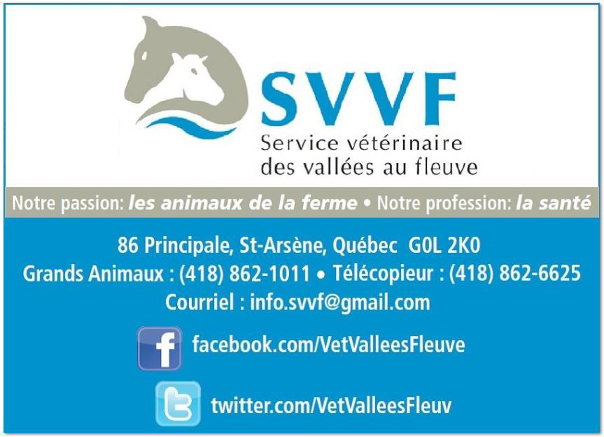 SVVF