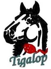 montage tigalop