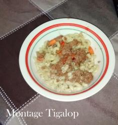 recette épicure tigalop