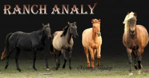 Ranch Analy
