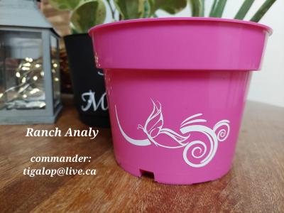 pot à fleur personnalisés