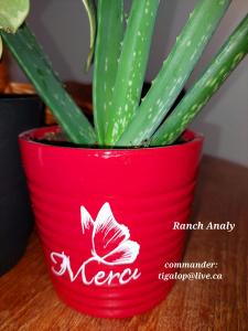 pot à fleur personnalisés