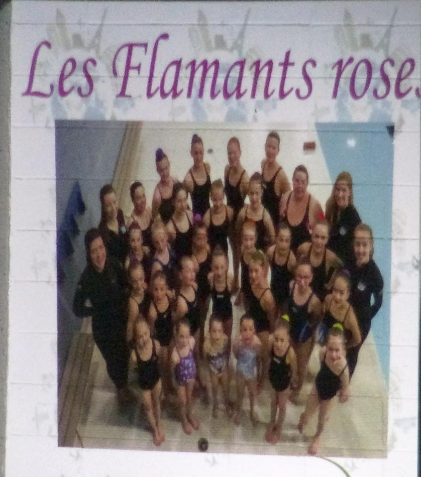 les flamants roses 2017