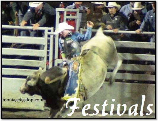 Festivals