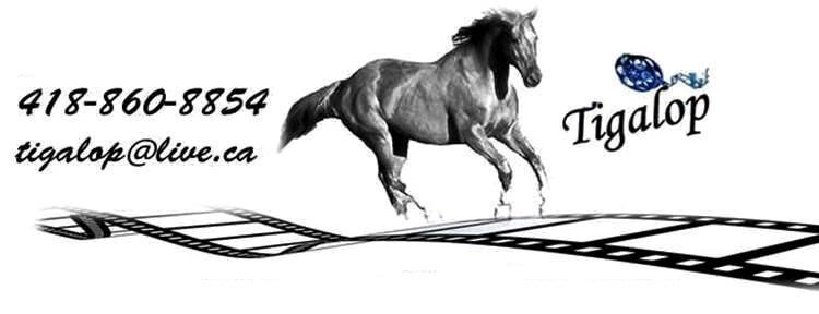 Montagetigalop 1 copie