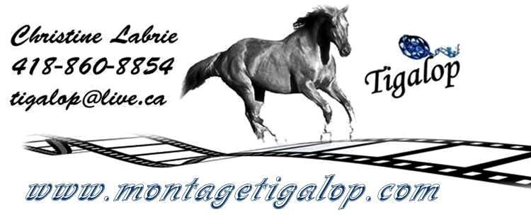 Montagetigalop