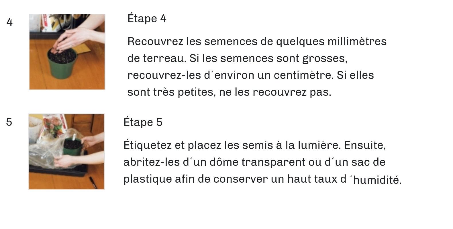 étapes pour réussir un semis à l'intérieur