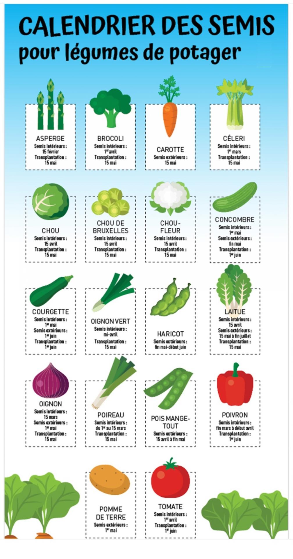 calendrier des semis